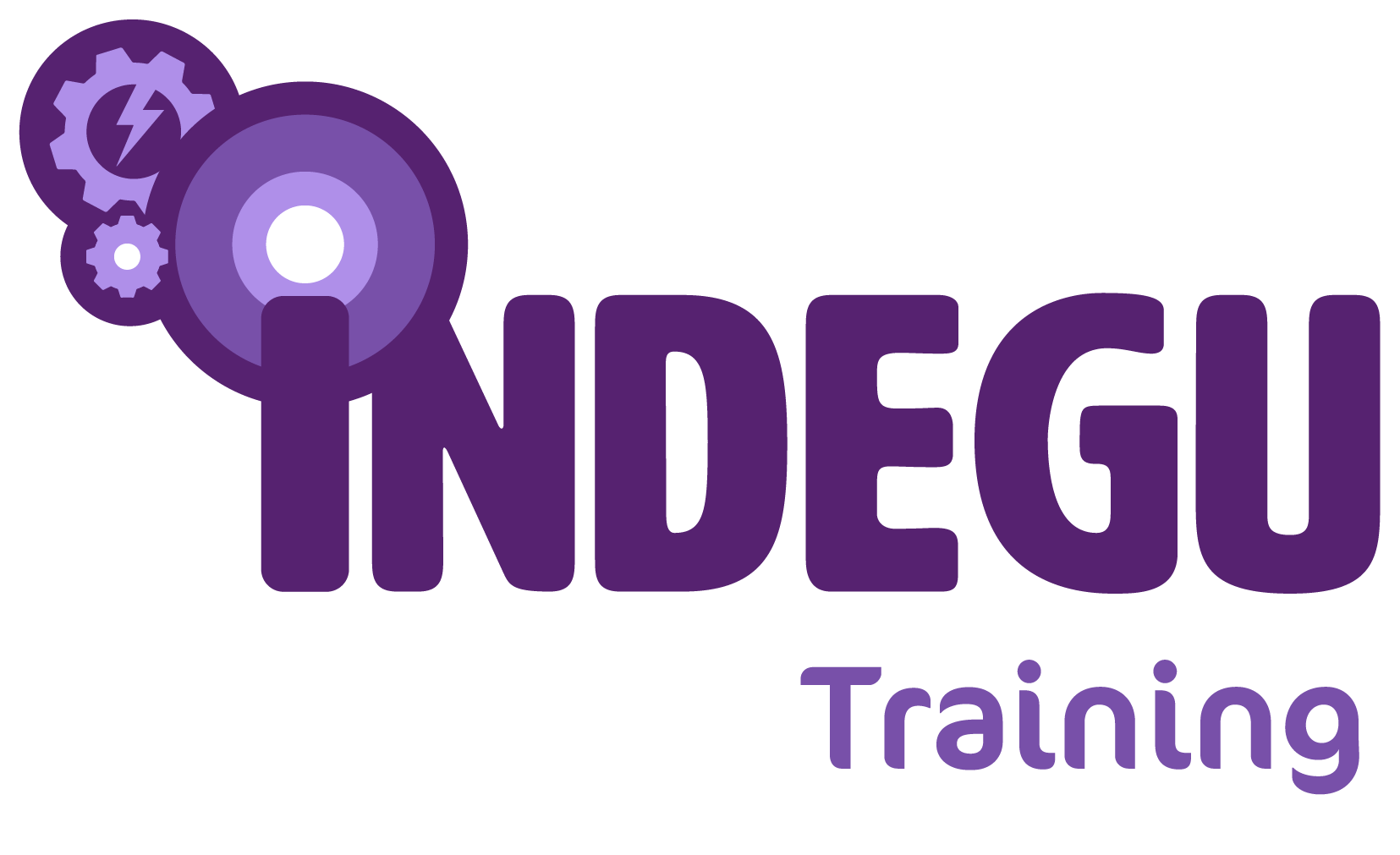 Indegu - Bespoke eLearning and Training
